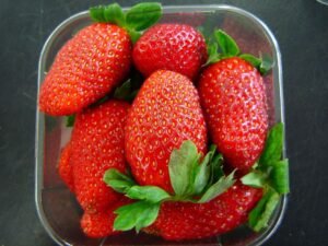 Go fruit picking on local farms