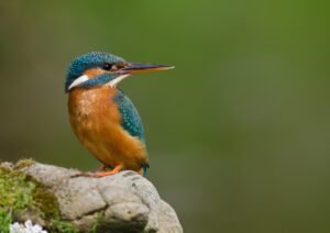 Surrounded by nature