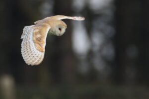 Surrounded by nature