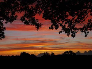 Something about the skies in Norfolk!