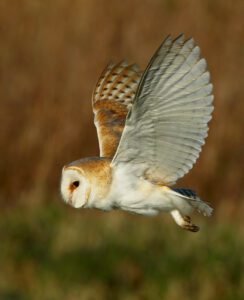 Surrounded by nature