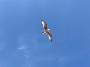 Surrounded by nature