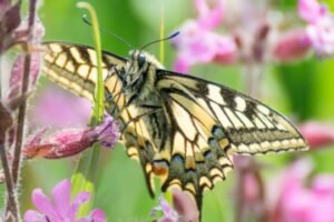 Surrounded by nature